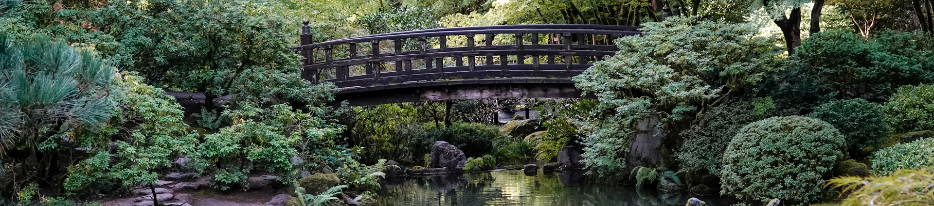 From the Archive: Japanese Garden Fall Colors 2022