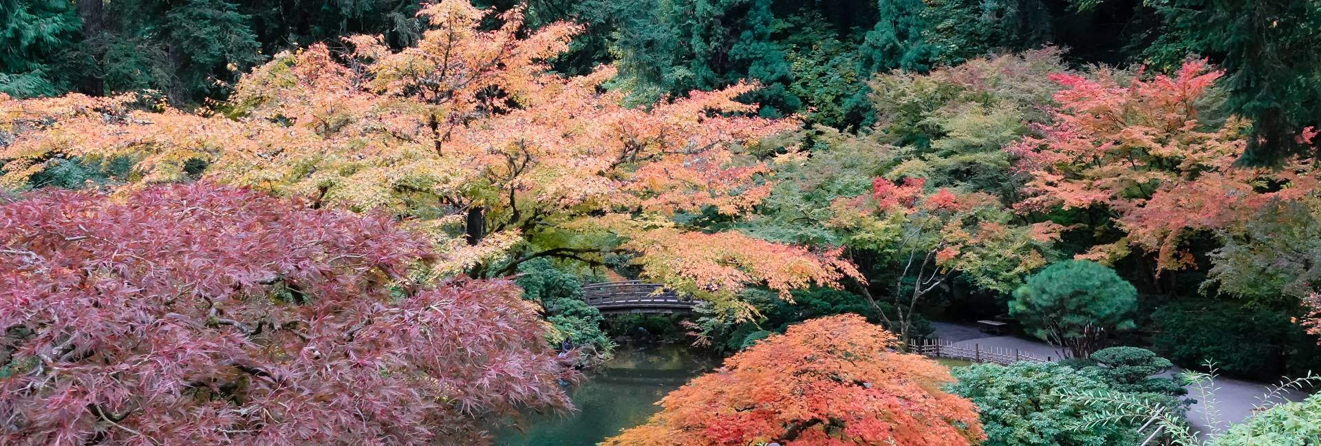 Fall Colors at the Japanese Garden, 2023