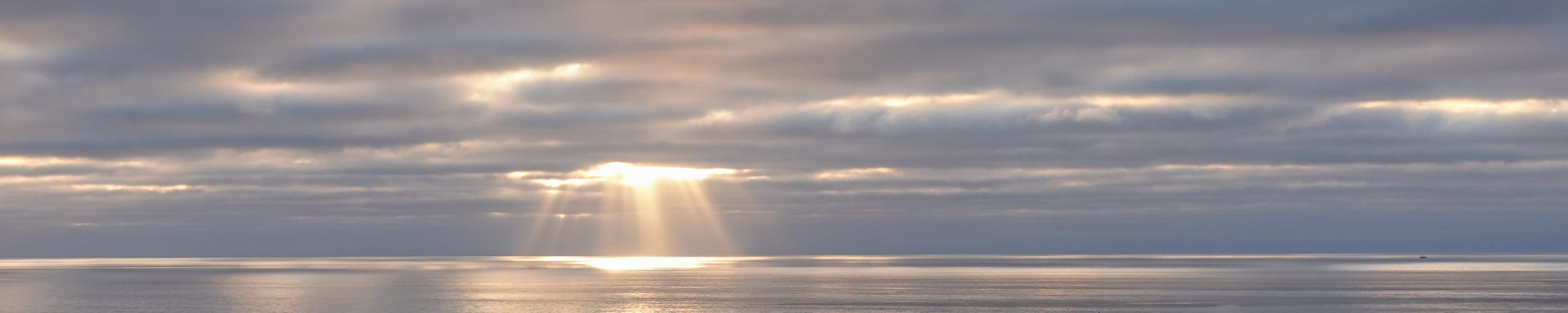 Manzanita Beach, January 2025