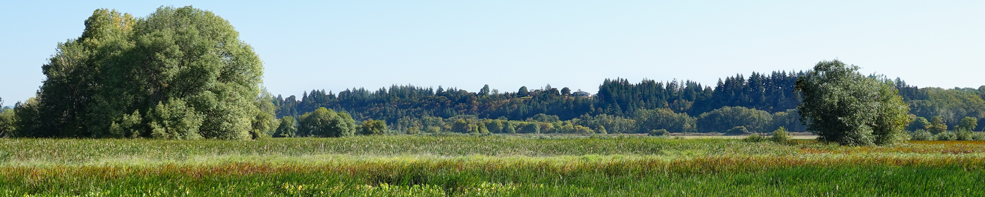 Ridgefield NWR Birthday Visit, September 2025