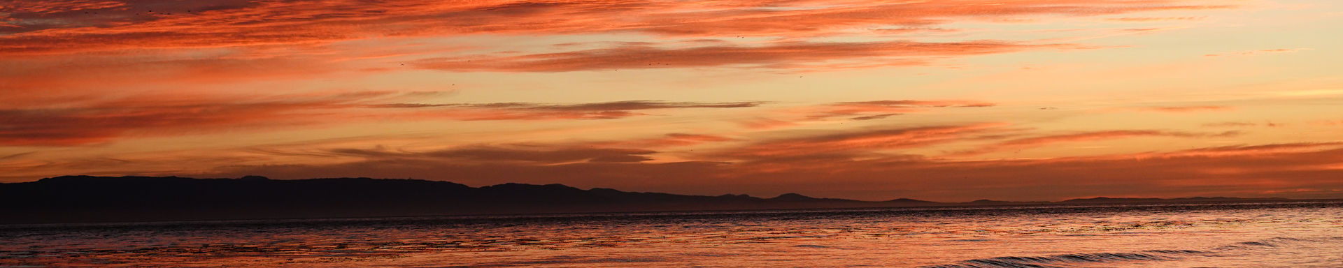 Olympic Peninsula and Victoria BC, Part 1