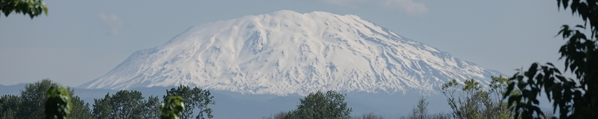 Sauvie Island, Spring 2026