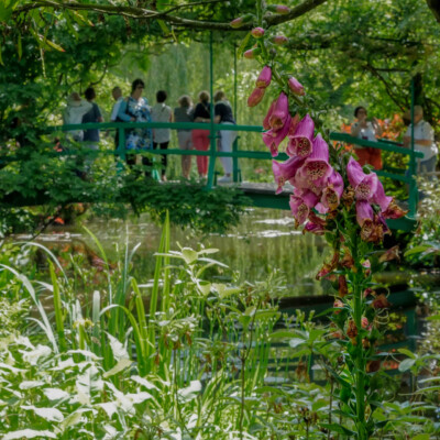 Monet's garden in Giverny, France