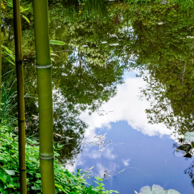 Monet's garden in Giverny, France