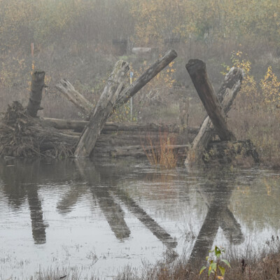 Jackson Bottom, Winter 2021-22