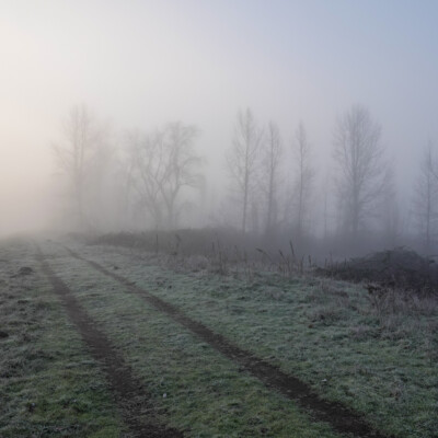 Vancouver Lake Lowlands, Winter 2021-22