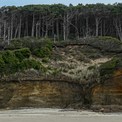 Oregon Central Coast, Winter 2021-22