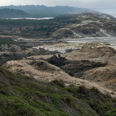 Oregon Central Coast, Winter 2021-22