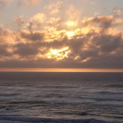 Oregon Central Coast, Winter 2021-22