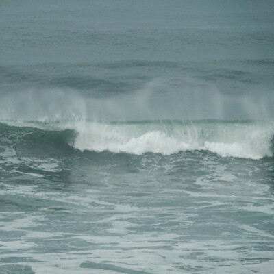 Oregon Central Coast, Winter 2021-22