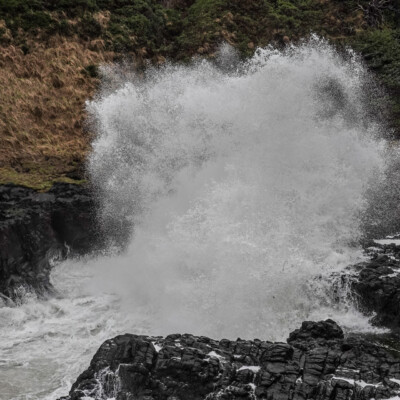 Oregon Central Coast, Winter 2021-22