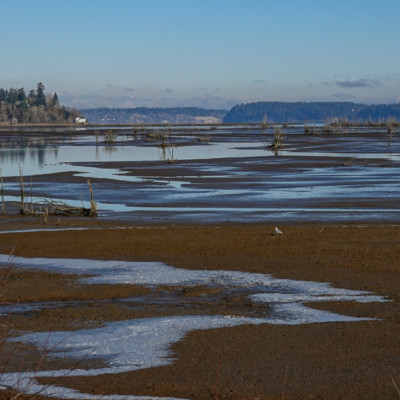 Billy Frank Jr. Nisqually NWR, Winter 2021-22