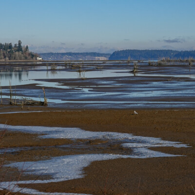 Billy Frank Jr. Nisqually NWR, Winter 2021-22
