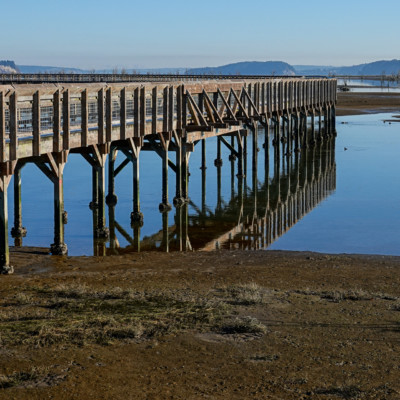 Billy Frank Jr. Nisqually NWR, Winter 2021-22