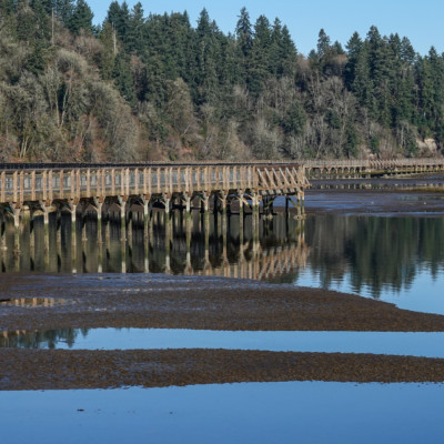 Billy Frank Jr. Nisqually NWR, Winter 2021-22