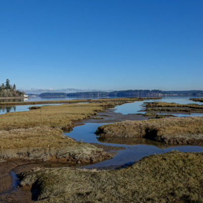 Billy Frank Jr. Nisqually NWR, Winter 2021-22