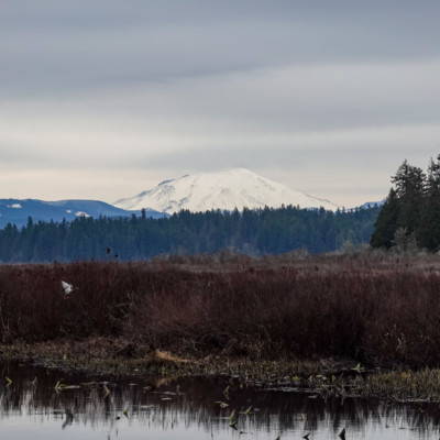 Mt. St. Helens from Sequest State Park WA, Winter 2021-22
