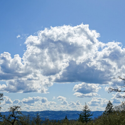The PNW clouds get a lot more interesting when surrounded with blue.