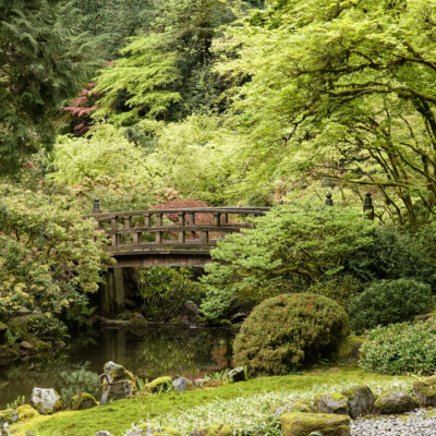 The Moon Bridge