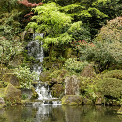 The site of the garden was previously the original location of the Portland Zoo, and this showcase waterfall was the bear habitat. In their honor, the garden designer placed darker stones in the walkway in the shape of Ursa Major. Nice touch; but the waterfall is a better photo.