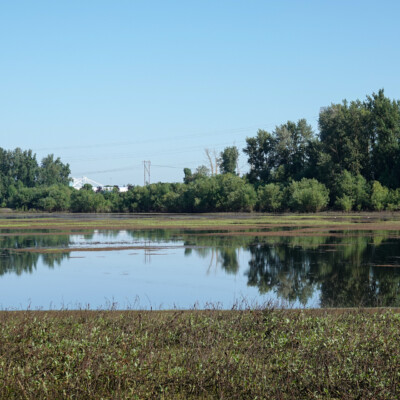 Bybee Lake