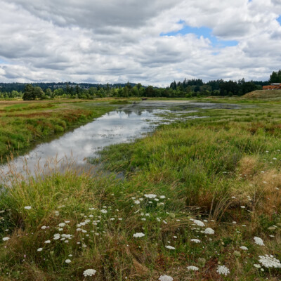Summertime means the seasonal trail is open. Looking back towards the Visitor’s Center from the unusual side.