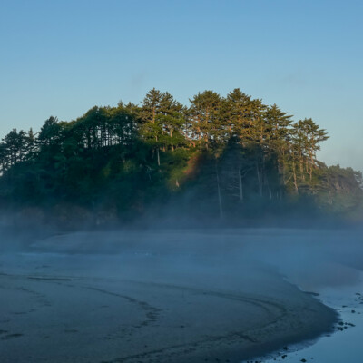 Proposal Rock, Neskowin, Summer 2022