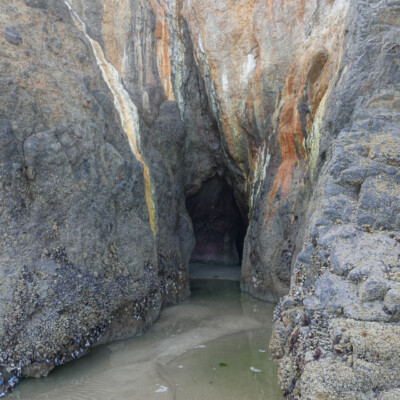 Neskowin Beach Cave, Summer 2022