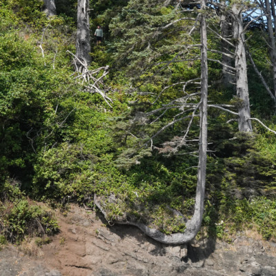 Proposal Rock, Neskowin, Summer 2022