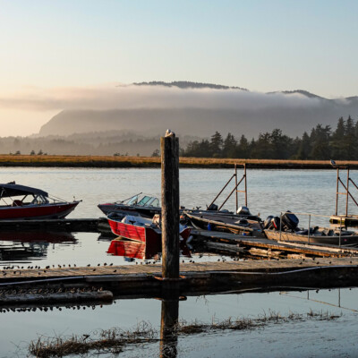 Manzanita, Summer 2022
