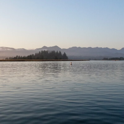 Manzanita, Summer 2022