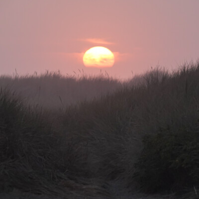 Sunset, Manzanita, Summer 2022