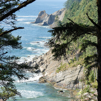 Cape Falcon Trail, Manzanita, Summer 2022