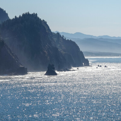 Cape Falcon Trail, Manzanita, Summer 2022