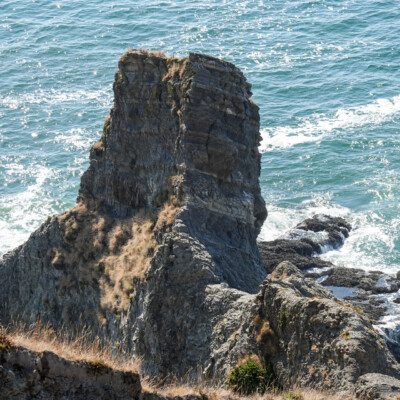 Cape Falcon Trail, Manzanita, Summer 2022