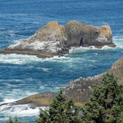 Cape Falcon Trail, Manzanita, Summer 2022