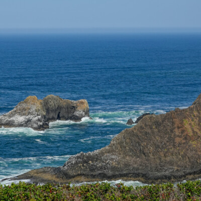 Cape Falcon Trail, Manzanita, Summer 2022