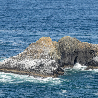 Cape Falcon Trail, Manzanita, Summer 2022