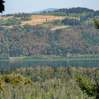 Columbia Gorge from Latourell Falls, Fall 2022