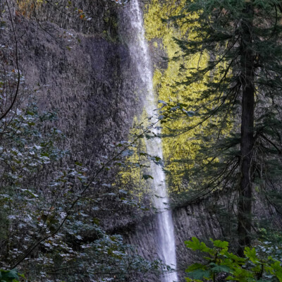Latourell Falls, Fall 2022