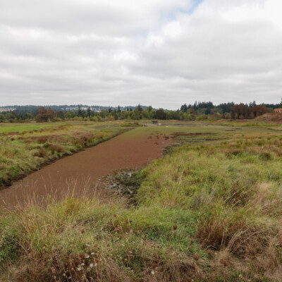 Looking back at the Visitor Center from the seasonal trail.