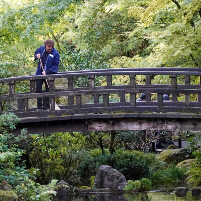 Garden membership allows access before the general public, while staff are still at work tending the grounds. They mostly use traditional tools to minimize the impact.