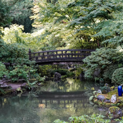 Portland Japanese Garden, Fall Colors 2022