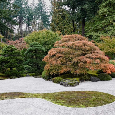 Portland Japanese Garden, Fall Colors, 2022