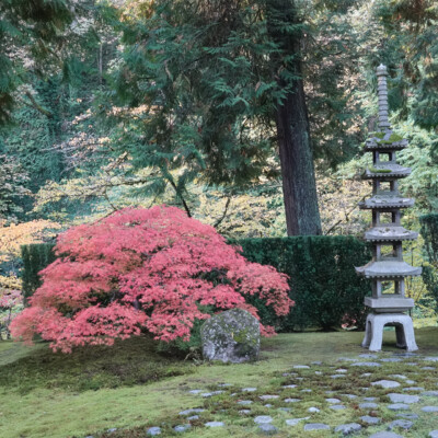 Portland Japanese Garden, Fall Colors, 2022