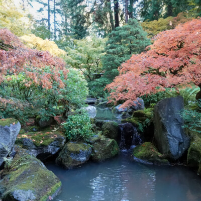 Portland Japanese Garden, Fall Colors, 2022