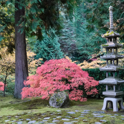 Portland Japanese Garden, Fall Colors, 2022