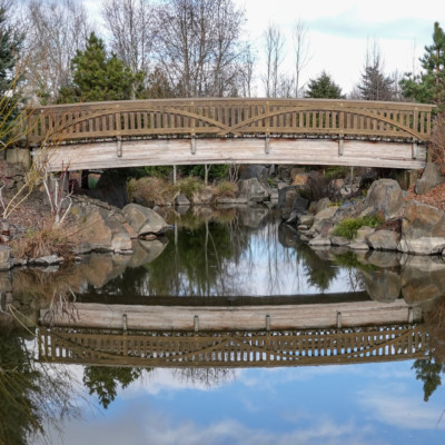 Bridge and reflection, Fernhill Wetlands, Winter 2022-23