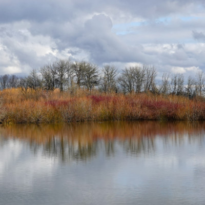 Fernhill Wetlands, Winter 2022-23