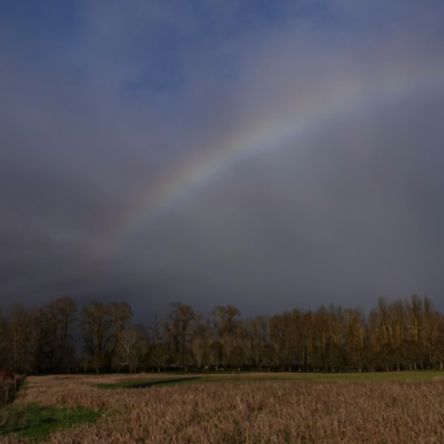 Rainbow in the fog, Vancouver Lake Lowlands, Winter 2022-23